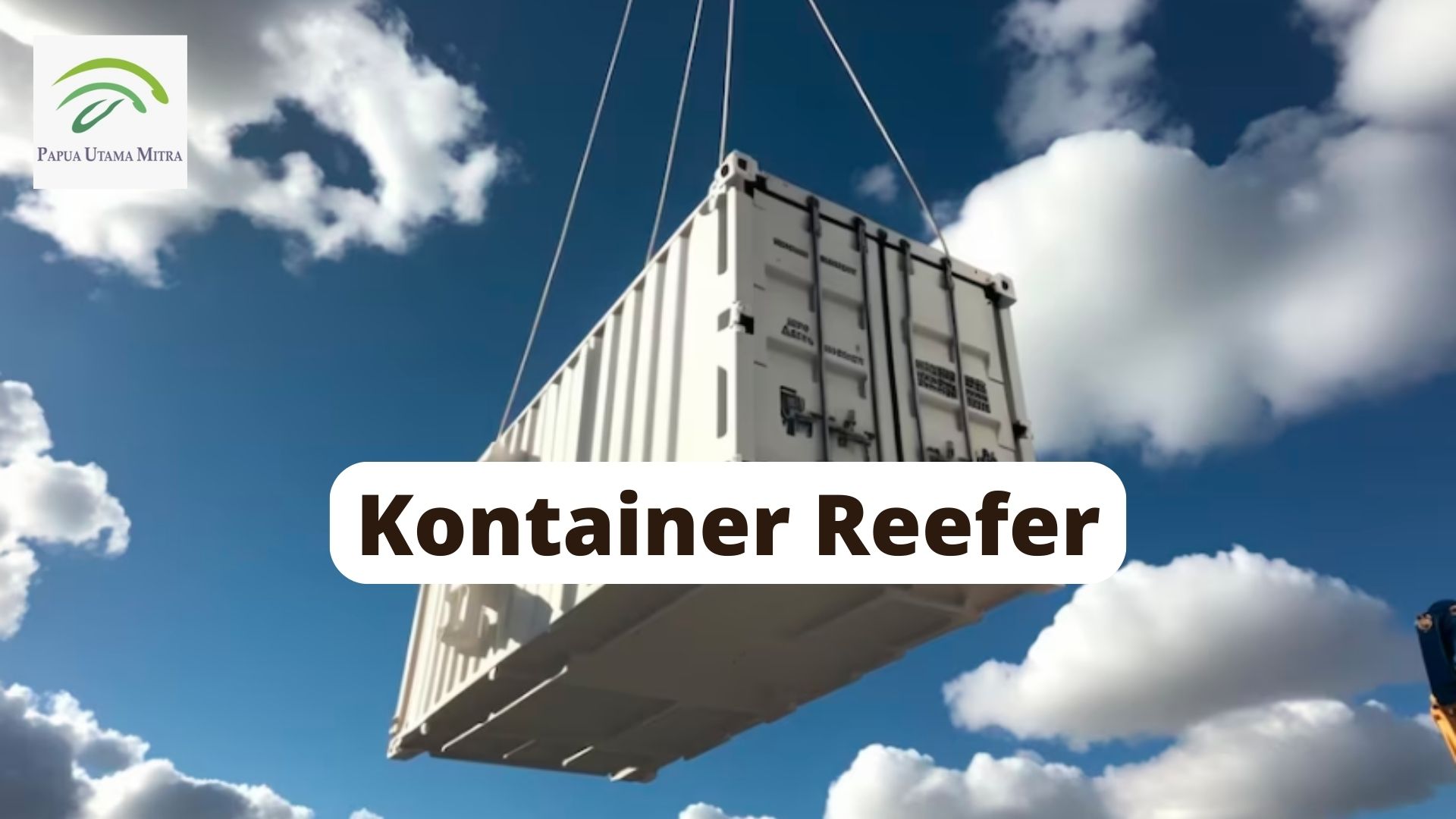 Kontainer Reefer: Pengangkut Daging Selama Pengiriman